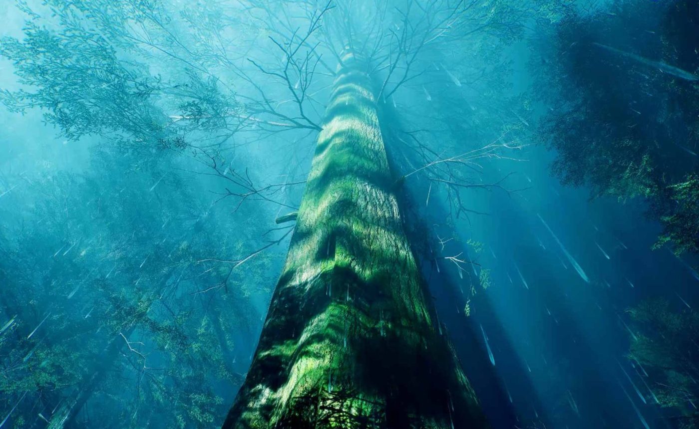 Project Training Project Training