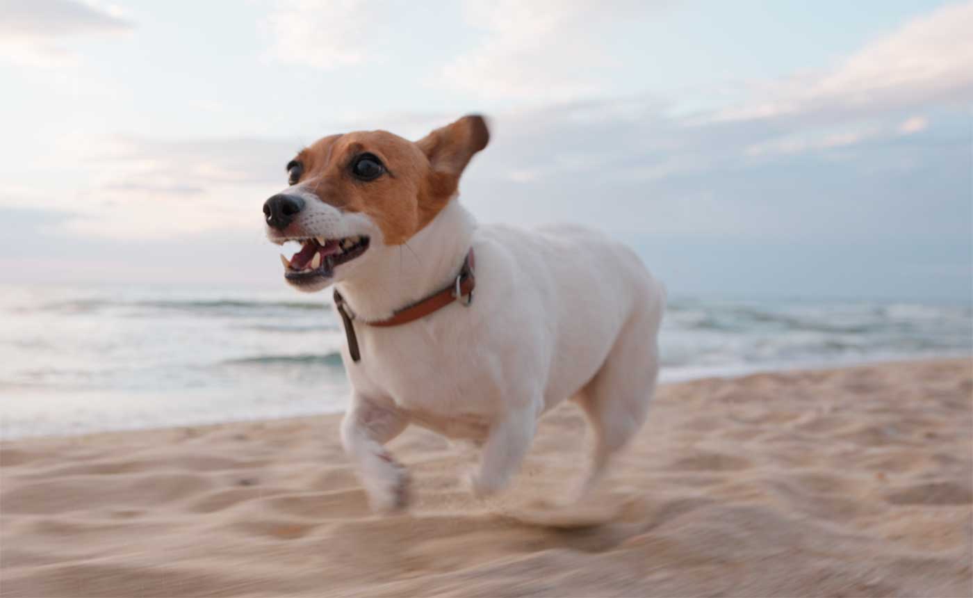 Programme & project Management