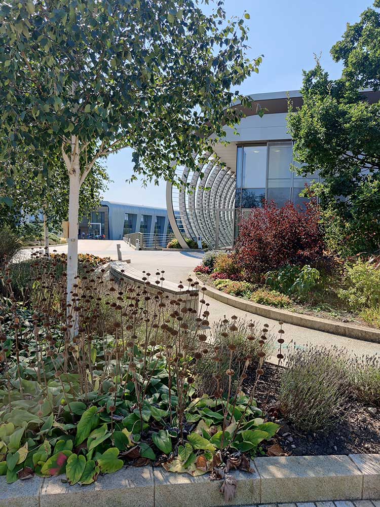 Wellcome Sanger Square Image Wellcome Sanger Square Image